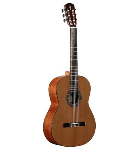 Alvarez �A���o���X AC65 �A�R�[�X�e�B�b�N�M�^�[ �A�R�[�X�e�B�b�N�M�^�[ �A�R�M �M�^�[ (���s�A��)