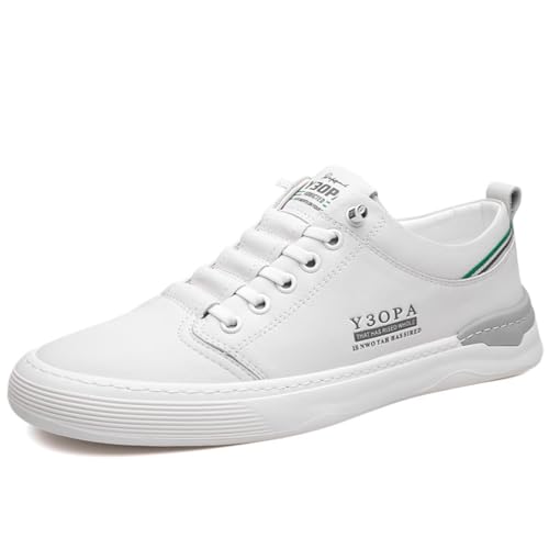 [TASTOME] JWAV[Y Y hCrOV[Y rWlXV[Y Xj[J[ ʋC h y _炩 Snǂ YV[Y ^]p vC  X|[c amC zCg 26.5cm