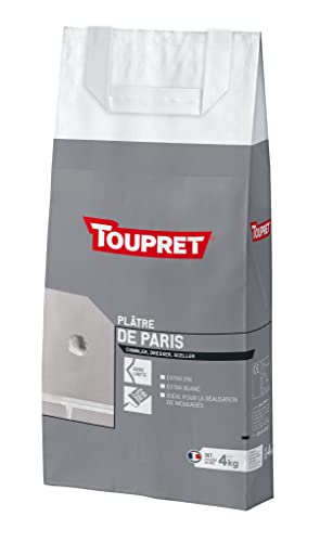 Toupret BCPLA04 - Yeso de París en bolsa de 4 kg Cover