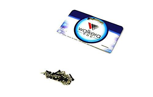 RCECHO&reg; Walkera HM-Master CP-Z-20 Screw Set for Master CP Helicopter QH020 with 174; Full Version Apps Edition