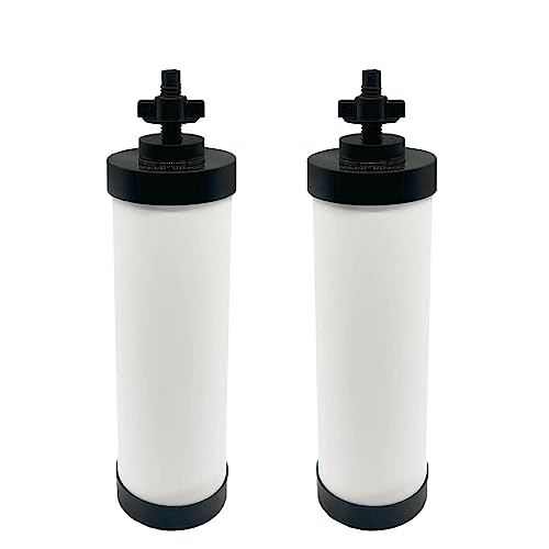 Virego Ceramic Silver Infused Filter