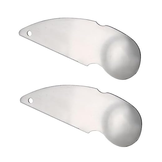Mikinona 6 Pz Cucchiaio di Kiwi Pelatrici per Avocado Utensili Manuali Kiwi Apri Pela Utensili da Cucina per Avocado Strumento Pela Arancia Grattugie Kiwi Acciaio Inossidabile Silver