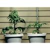 Helps Your Plants Grow Bigger Faster and Stronger 30lb Bucket