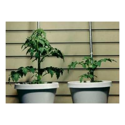Helps Your Plants Grow Bigger Faster and Stronger 30lb Bucket