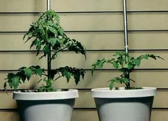 Helps Your Plants Grow Bigger Faster and Stronger 30lb Bucket