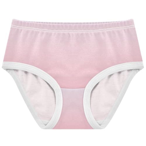 Joisal Bright Toddlers Underwear Floral 2t Cotton Girl Panties Cute Magnolia Shell Pink Gradient Briefs Undies Kids