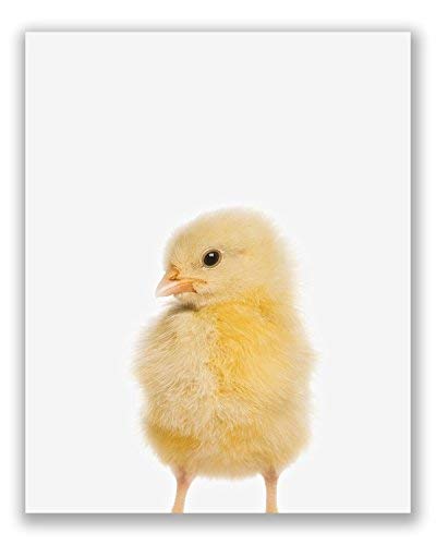 Baby Farm Animals Poster Prints - Set Of 6 (8X10) Adorable Furry Barn Portraits Wall Art Nursery Decor - Calf (Cow) - Chick (Chicken) - Donkey - Foal (Horse) - Duckling (Duck) - Piglet (Pig) #TOP5