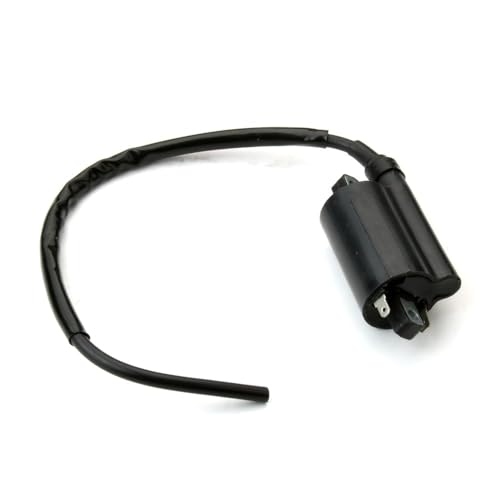 Bobina de encendido para 250cc y 450cc elimina fallos de chispa 4