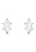 Produktbild SWAROVSKI Damen-Ohrstecker Edelstahl Kristall 5467320
