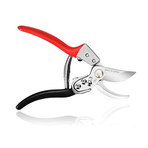 Top 10 Single Handed Garden Shears of 2022 Katynel