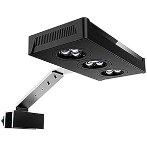 Ventilador portátil Luces LED para acuarios Luces LED para acuarios 30 W Chip de iluminación de agua salada Control táctil para luz de coral Peces de arrecife Nano tanques marinos Granjas de peces o