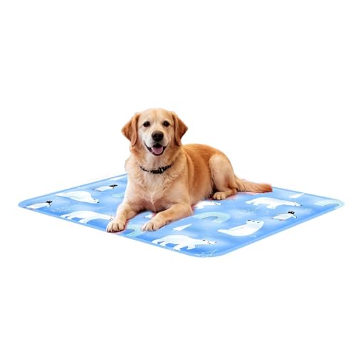 Generico Alfombrilla refrescante para animales – Cojín de verano con gel para gatos | Alfombra para cachorros | Apto para interior suelo sofá jaula, caseta exterior viaje asiento coche camping