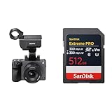 SONY(ソニー) APS-C Cinema L