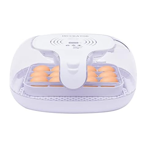 LYNICESHOP 16 Egg Incubator with Automatic Turning, LED Egg Candler, Temperature Control, and Water Injection, Clear View Poultry Hatching Incubator for Chicken, Duck, Quail Eggs Cover