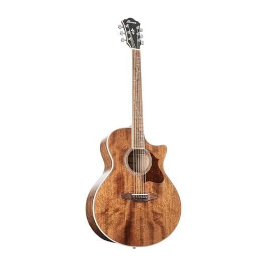 Ibanez AE Series AE245-NT Natural