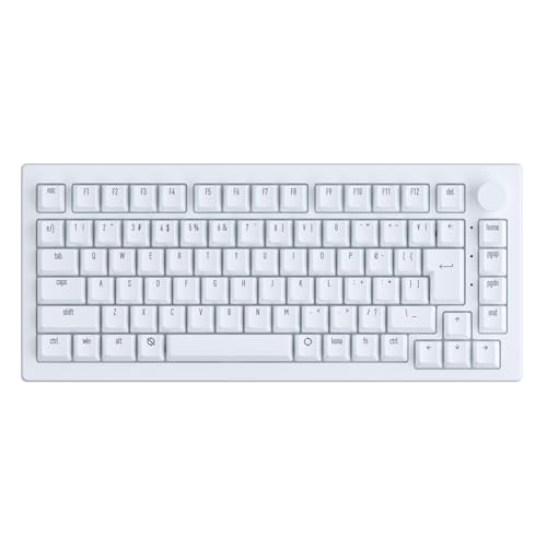 【国内正規品】Akko(アッコ) ラピッドトリガー 8000Hz ゲーミングキーボード 5075S HE JP Moon Light White 磁気スイッチ 75% 日本語配列 JISキー SnapKeys (SOCD)対応 Mac Windows両対応 ガスケット構造 PBT昇華印刷キーキャップ RGB対応 ホワイト