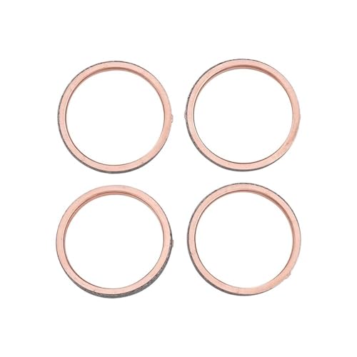 Junta de tubo de escape kit 10 unidades compatible con BT1100 y XJR1300