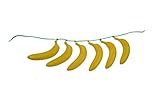 - Gürtel Generique - Bananen-Gürtel Kostümaccessoire Dschungel gelb-grün 96 cm