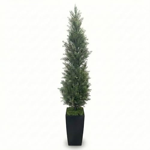 ゴールドクレスト　鉢付き　170センチ位　3鉢 レンタル商品】人工観葉植物ゴールドクレスト 高さ90cm 通販 - ディノス