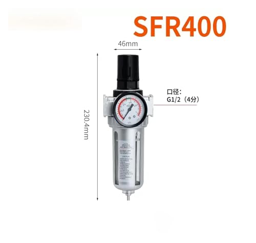 Processeur source de gaz SFR400 avec filtration et régulation
