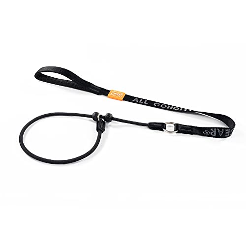 HowGo Slip Lead Dog Leash with Padded Handles | Lightweight Dog Training Leash with 360°Swivel Anti-Tangle | Heavy-Duty Lead and Collar for Large Medium and Small, No-Pull Walking (Black, 3.6FT)