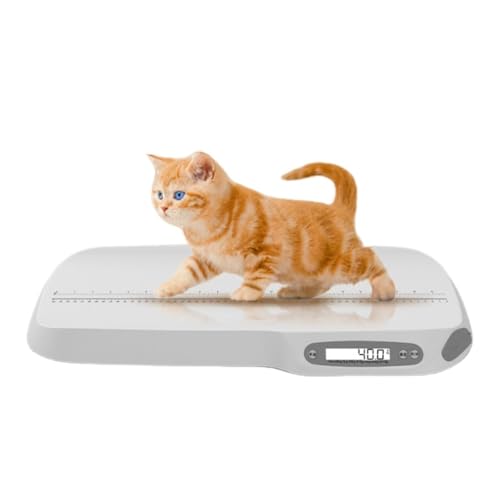 ybg̏dv ^ dq ybgp dqXP[ x F40G?40Kg ^ ϋv |[^uobe[ ybgpi p|[^ȕdǗXP[ ^ELEETMp W[t (Bluetootho[W)