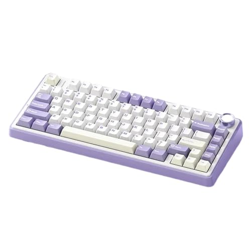 gC[hCXBluetoothRGBzbgXbv@\ƃbvgbvPCQ[p̑@\muLJjJL[{[h(3-MODE PURPLE)