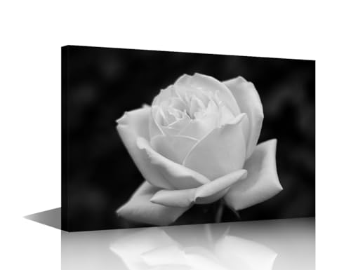 Affiche d'art rose blanche noir et blanc pour sublimer le bureau