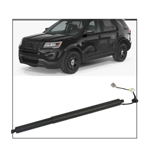 Support hayon électrique pour Ford Explorer 2011-2015 double vérin - 3
