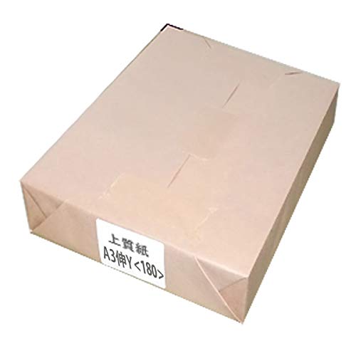 ㎿()A3L(317mm×468mm)ځ180(100)