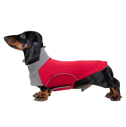 Brabtod Dog Winter Coat for Dachshund,Waterproof Miniature Dachshund Clothes Jacket,Small Dog Coat with Harness Slot,Dachshund Jumper with Turtle Neck,Pet Garment Ideal for Walking,Camping-Red-M Brabtod Dog Winter Coat for Dachshund,Waterproof Miniature Dachshund Clothes Jacket,Small Dog Coat with Harness Slot,Dachshund Jumper with Turtle Neck,Pet Garment Ideal for Walking,Camping-Red-M