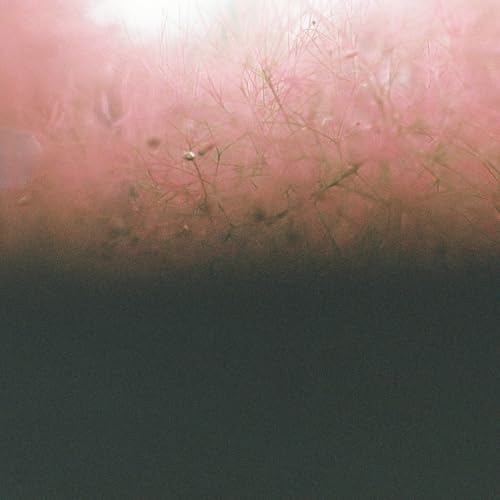 Foam and Sand, Robot Koch & Six Missing