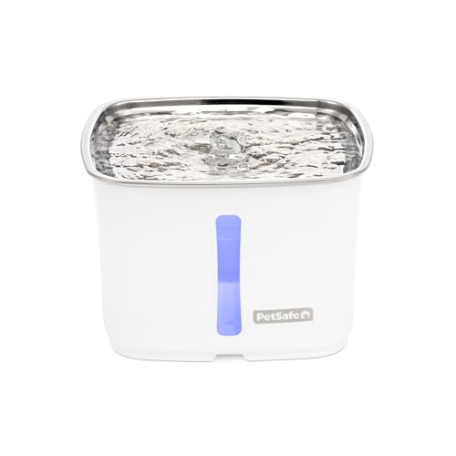 PetSafe Fontaine à Eau Viva Cat (1,8 l) – Distributeur d'eau d'intérieur pour Chats et Petits Chiens, Bol en Acier Inoxydable avec Pompe silencieuse, Passe...