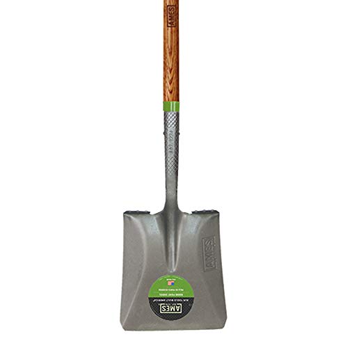 AMES 2535700 Tempered Steel Transfer Shovel with Hardwood Handle, 61-Inch, Gray