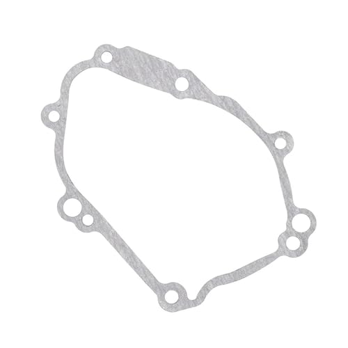 Rectifier pour volant d'inertie de stator FZ1 2006-2014