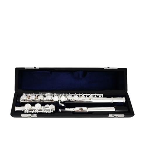 16 17���t���[�g�J���p�����A�N�Z�T���[(17 holes open)