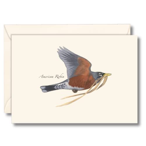 Image of Earth Sky + Water - Robin in Flight Notecard Set - 8 Blank Cards with Envelopes