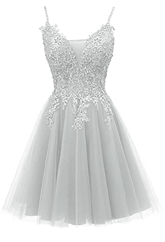 Image of JAEDEN Prom Dress Short 2026 - Lace Homecoming Dresses DAMA Dress for Quinceanera for Teens Tulle Silver US16W