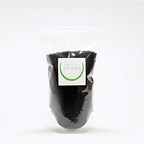 RP̃CeA RPE py eE ۖ~ ꍻ RPEp\C ~j