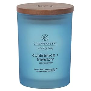 Chesapeake Bay Candle Scented Candle Confidence Freedom Oak Moss Amber Medium Home Decor