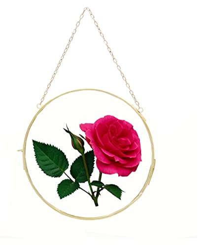 Adzee-Hanging-Glass-Frame-for-Pressed-Flowers-Brass-Picture-Frame-Heart-shape-Photo-frame-Dried-Flowers-Frame-Wall-Decor-Size-7×7-inch
