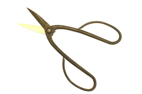 L{V(Kinboshi) ~  3903