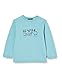 Sanetta Baby-Jungen Ice Blue Sweatshirt, blau, 056
