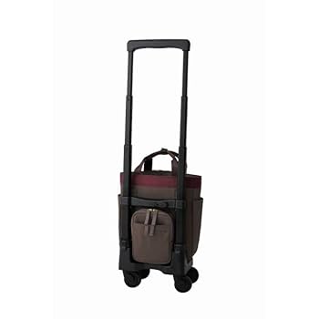 SWANY ルバンドミニⅡ パープル Amazon｜スワニー キャリーバッグ D-552ルバンドミニⅡ (TS15