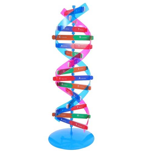 Supporta l'interazione genitore-figlio: usa il kit di apprendimento del dna per attività familiari, promuovendo un divertente lavoro di squadra mentre comprendi insieme i dettagli complessi del kit modello di biochimica, kit modello di dna, costruisci il tuo dna