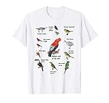 Vögel, Vogelliebhaber, Geschenk für sie, Geschenk für ihn, Geburtstagsgeschenk, zu Weihnachten, benennen Sie Vögel wie Trällerer, Manakin mit Cerulean-Kappe,Tanager mit Silberschnabel, Tukan mit Kanalschnabel, Fliegenfänger mit Zitronenbrauen und Steinhahn