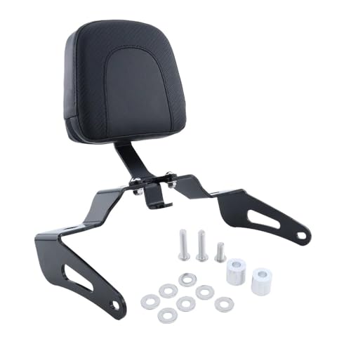 Dossier moto passager pour Eliminator 500 2024-2025 sissy bar amovible