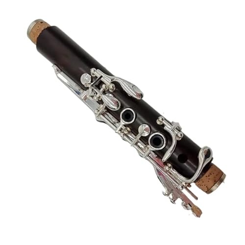 bb Nlbg ~[WbNt@VA[Nu x[NCg Bb Nlbg W[ vtFbVi Nlbg Vo[bL L[ 17 }EXs[X