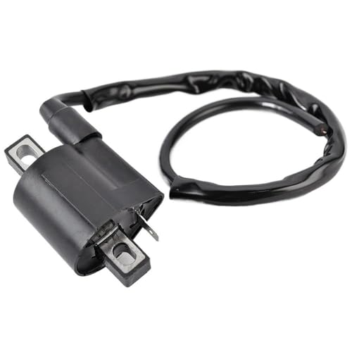 Bobina de encendido para solucionar fallos de arranque 5BE 2