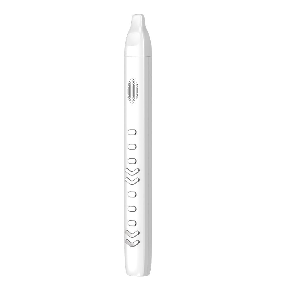 Strumento a fiato elettronico, flauto for sassofono, flauto dolce, flauto, suono, tubo del vento elettrico, portatile, facile da usare, adatto a bambini, adulti, anziani (Color : Black)